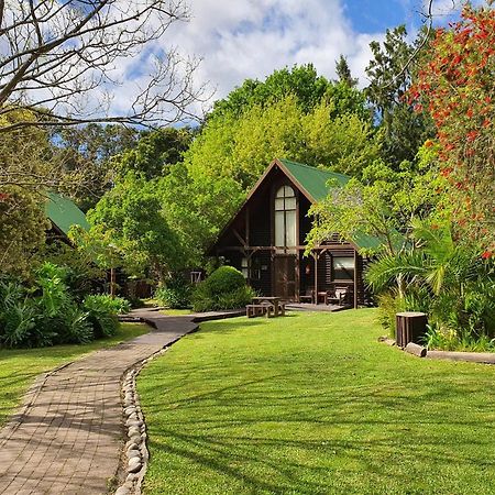 Tsitsikamma Lodge & Spa Stormsrivier Zewnętrze zdjęcie