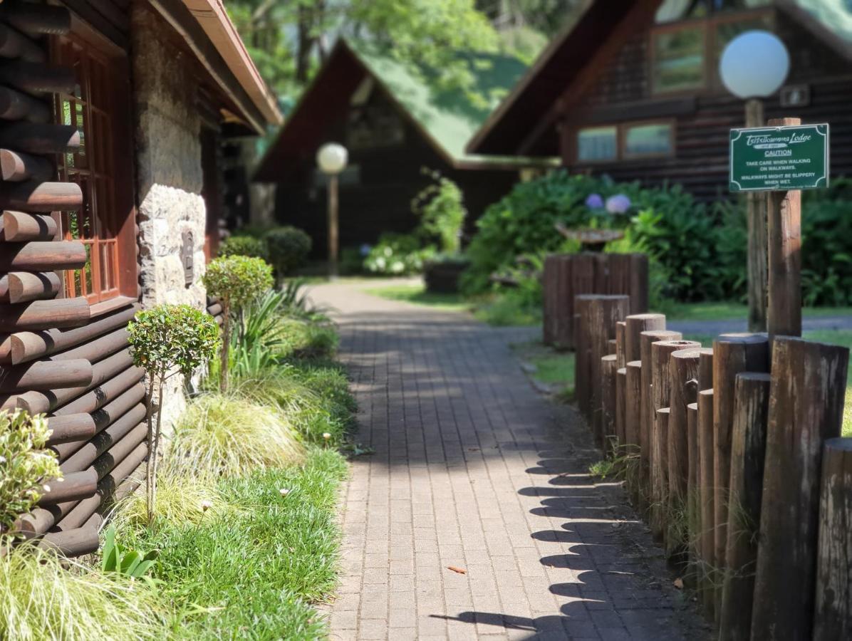 Tsitsikamma Lodge & Spa Stormsrivier Zewnętrze zdjęcie