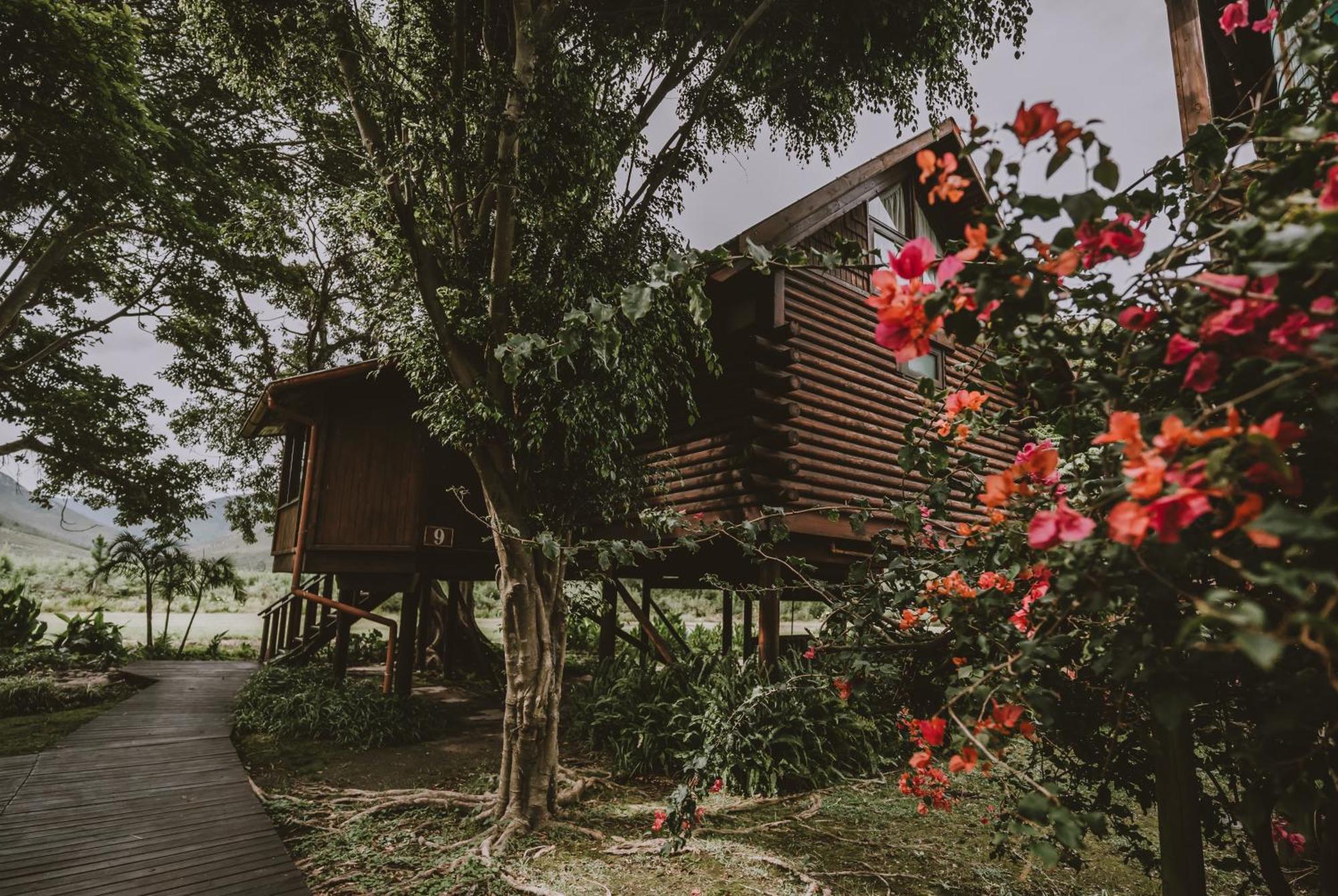 Tsitsikamma Lodge & Spa Stormsrivier Zewnętrze zdjęcie