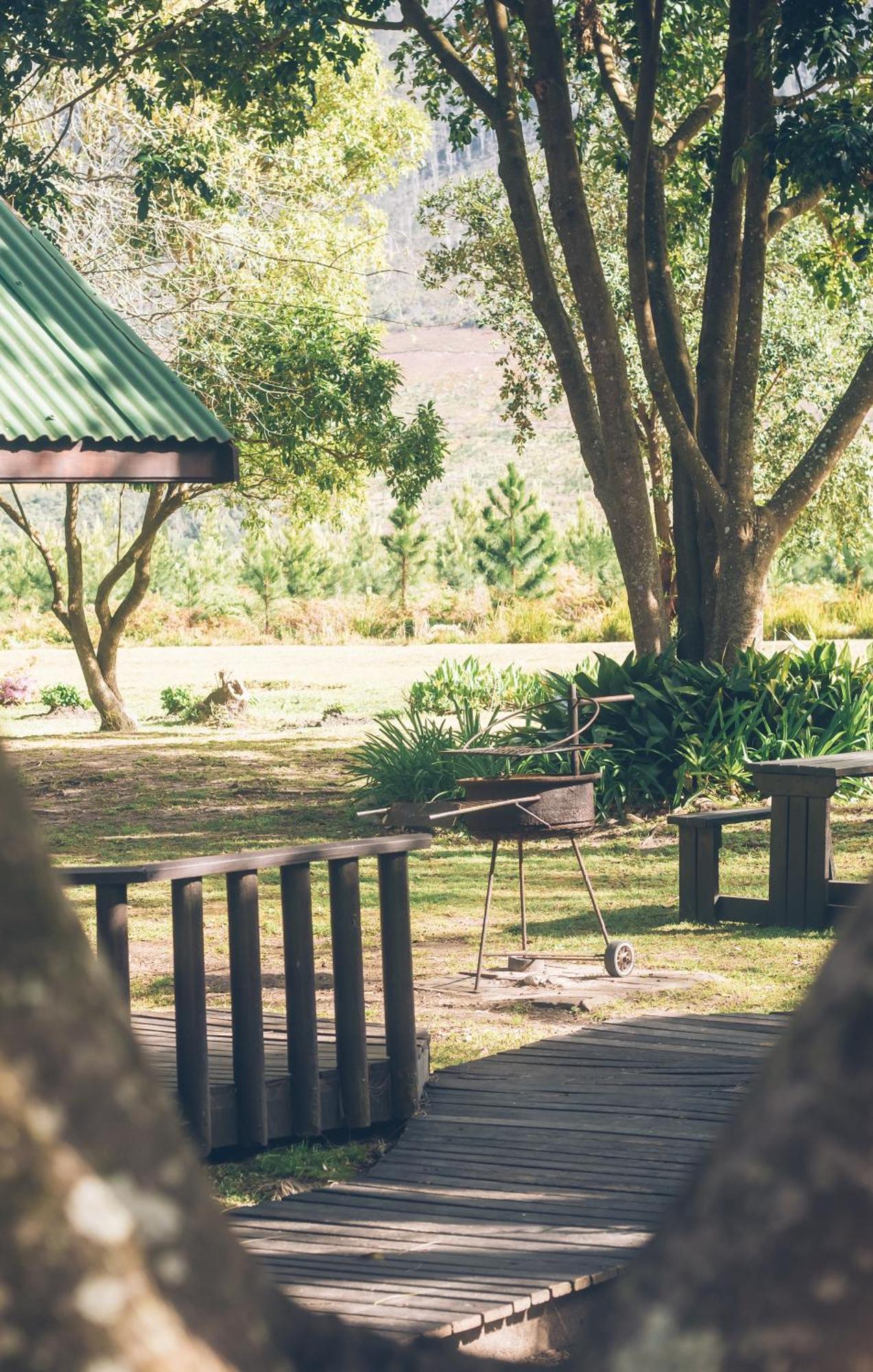 Tsitsikamma Lodge & Spa Stormsrivier Zewnętrze zdjęcie