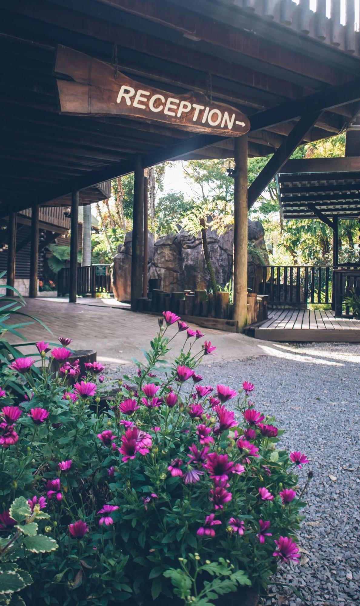 Tsitsikamma Lodge & Spa Stormsrivier Zewnętrze zdjęcie