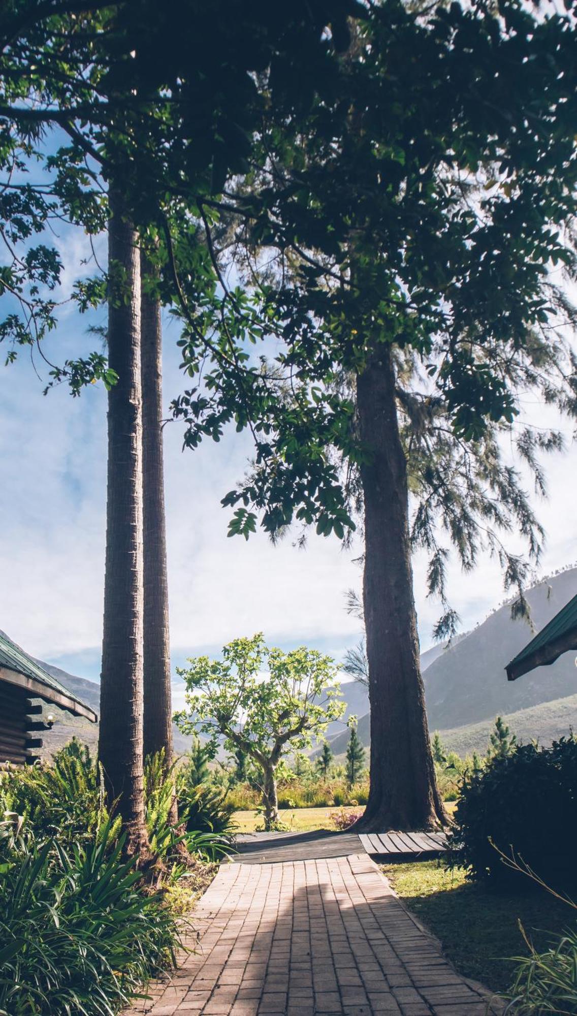 Tsitsikamma Lodge & Spa Stormsrivier Zewnętrze zdjęcie