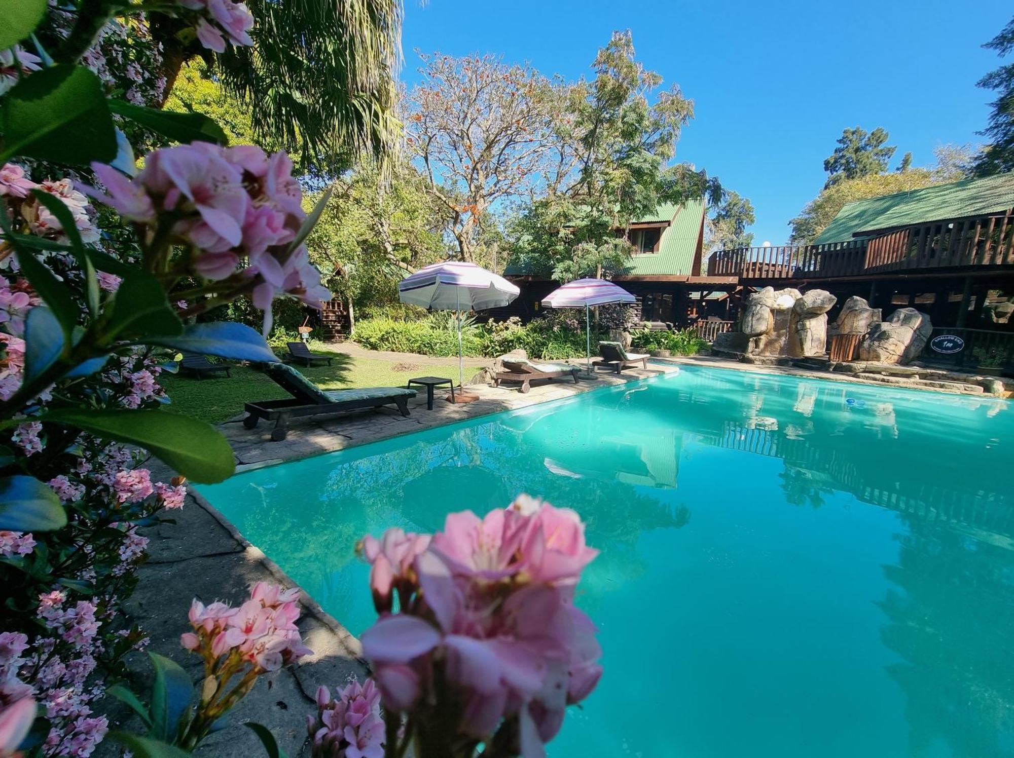 Tsitsikamma Lodge & Spa Stormsrivier Zewnętrze zdjęcie